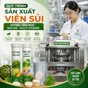 Hướng dẫn quy trình sản xuất viên sủi actiso râu ngô, rau má
